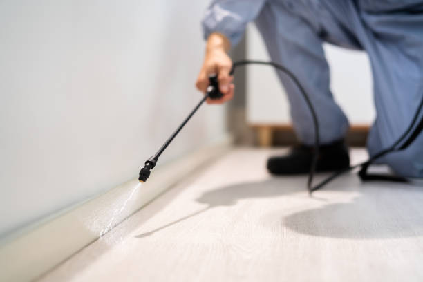 Licensed Mosquito Control service in Summit, NJ - Nex Pest Control