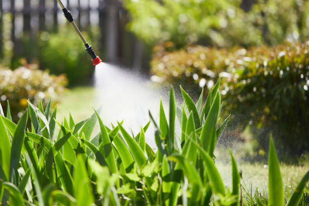 24/7 Emergency Mosquito Control experts in Summit, NJ