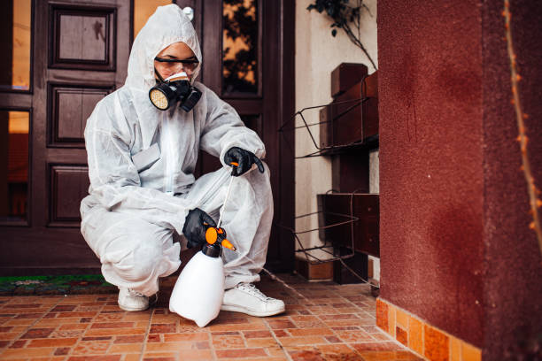 Reliable Mosquito Control contractor in Summit, NJ by Nex Pest Control